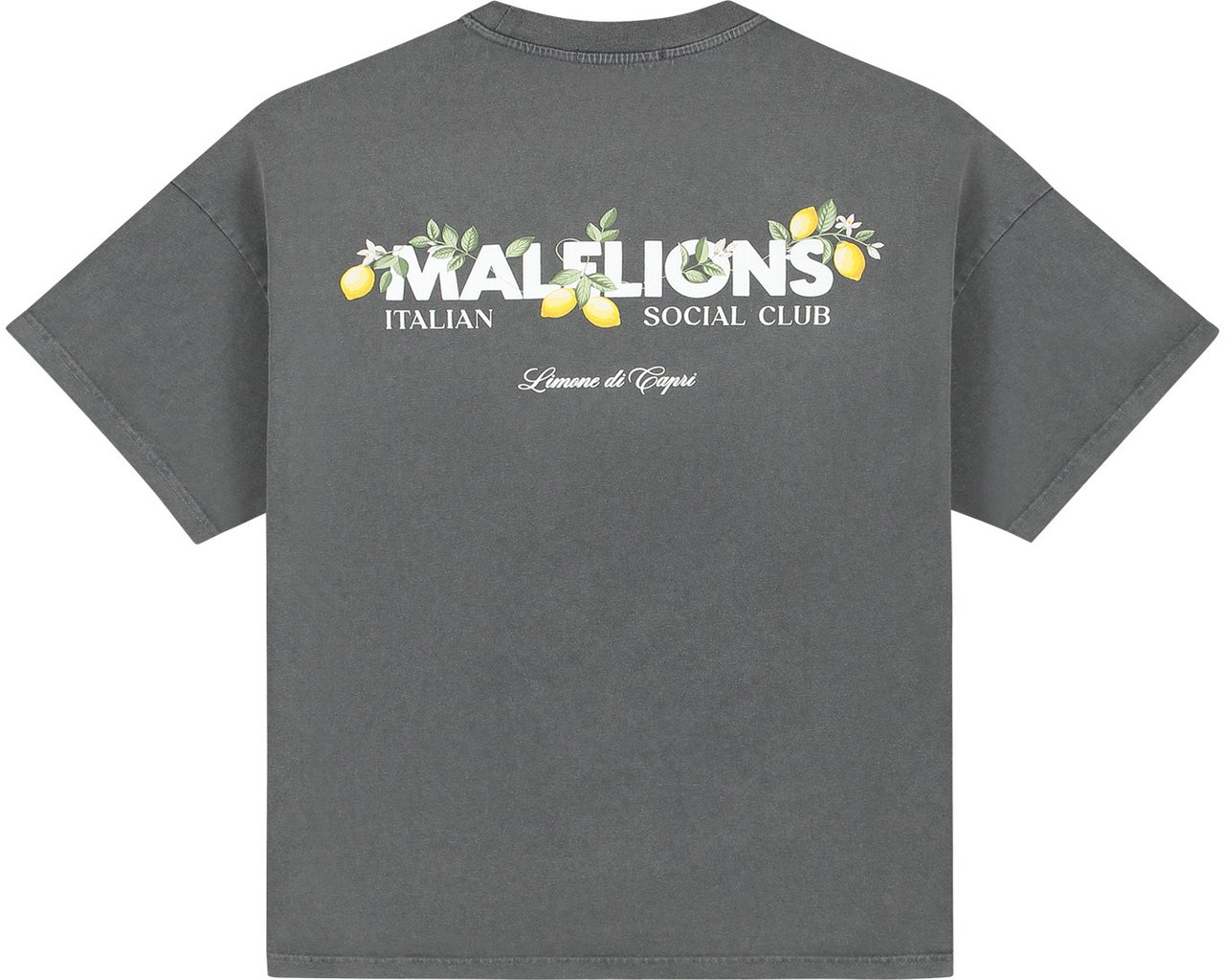 Malelions Malelions Women Limone Di Capri Oversized T-Shirt Grijs