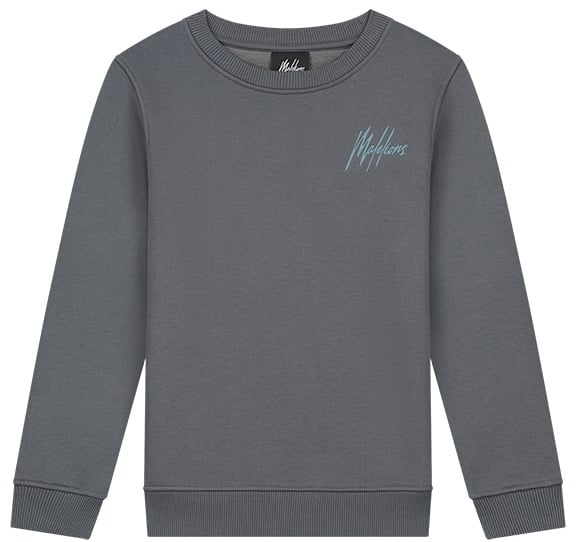 Malelions Malelions Junior Striped Signature Sweater Grijs