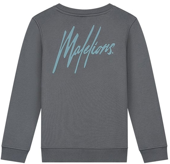 Malelions Malelions Junior Striped Signature Sweater Grijs