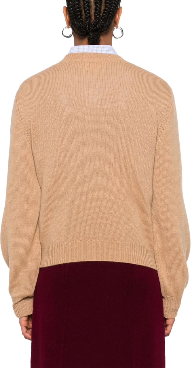 Marni Marni Maglie Marrone Bruin