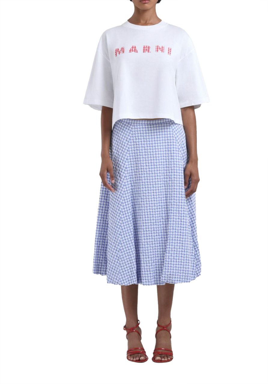 Marni Micro Check Blue-white Skirt Wit