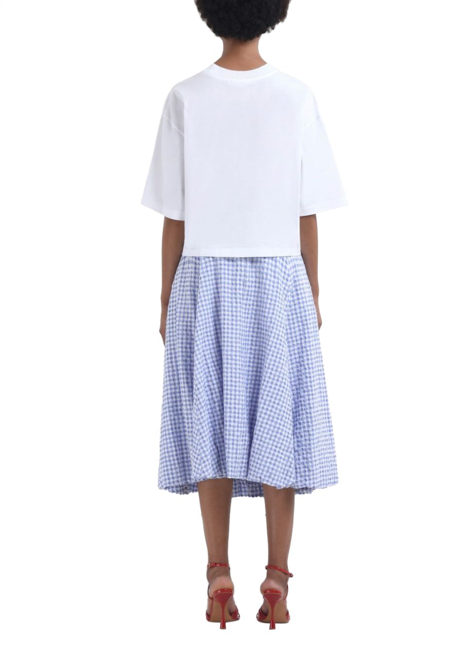 Marni Micro Check Blue-white Skirt Wit