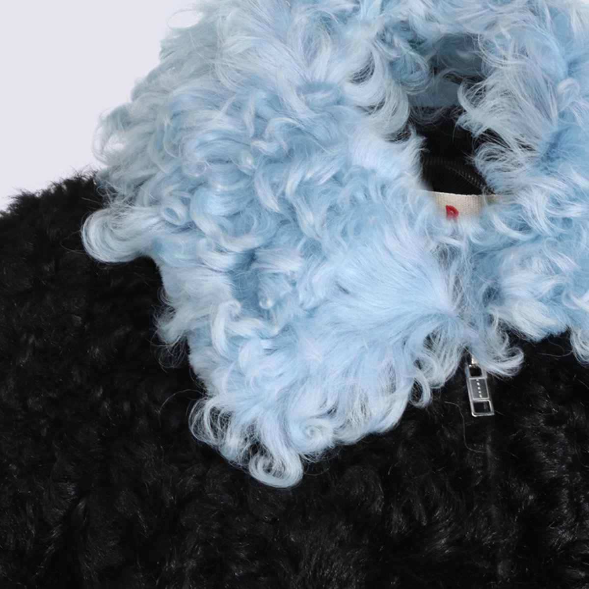 Marni Textured Black Cropped Jacket With Light Blue Curly Collar Zwart