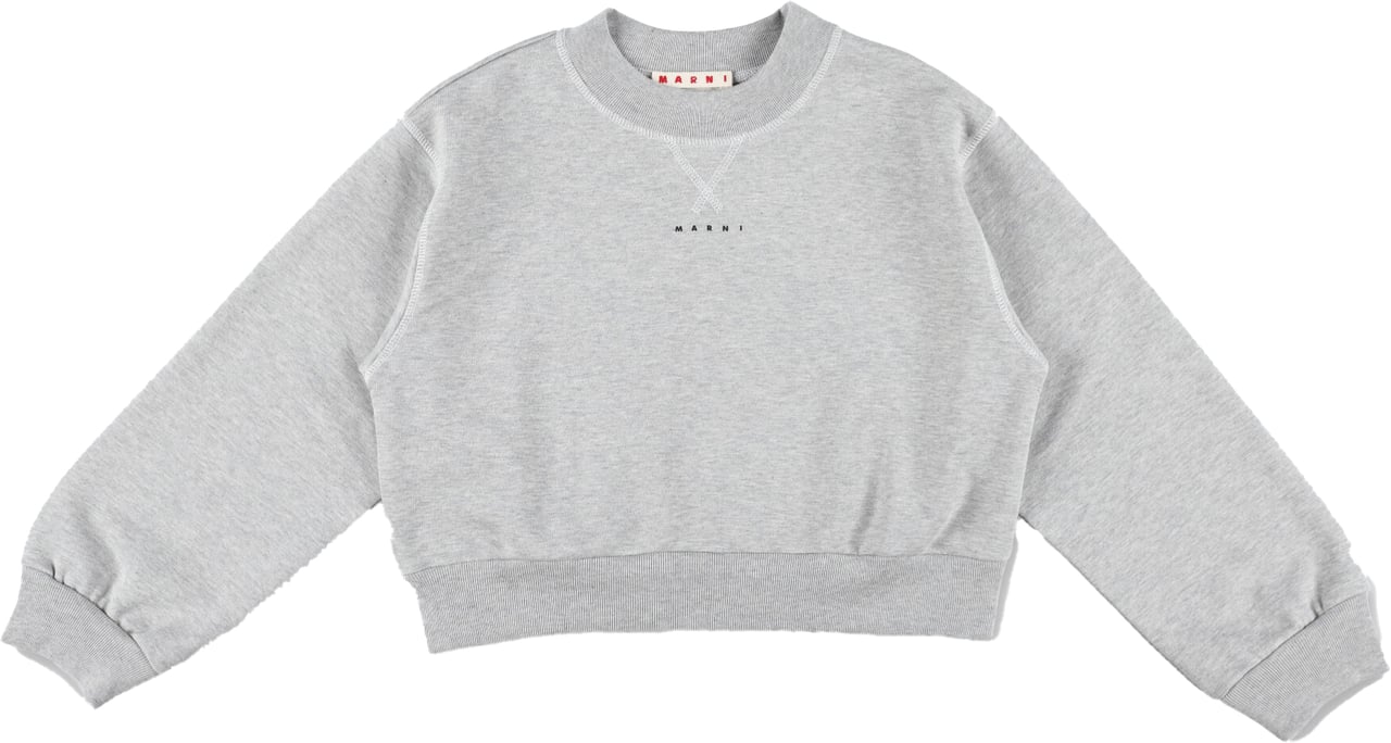 Marni Fleece Cropped Logo Grigio Grijs