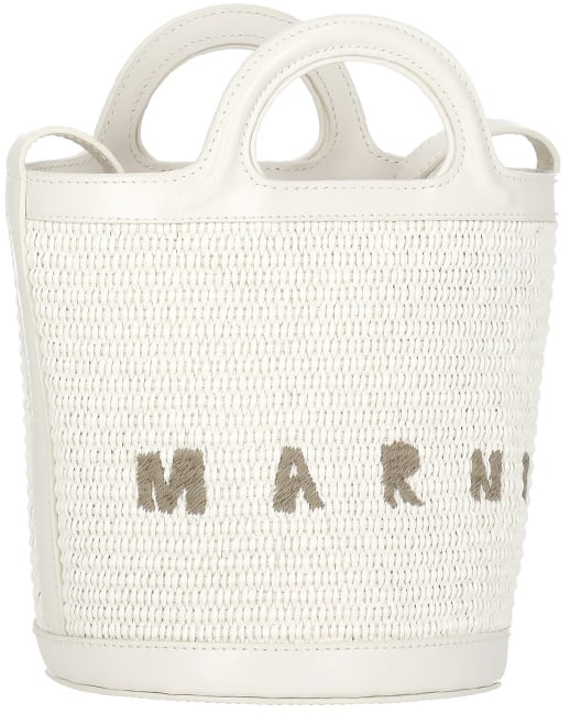 Marni Bags Ivory Wit