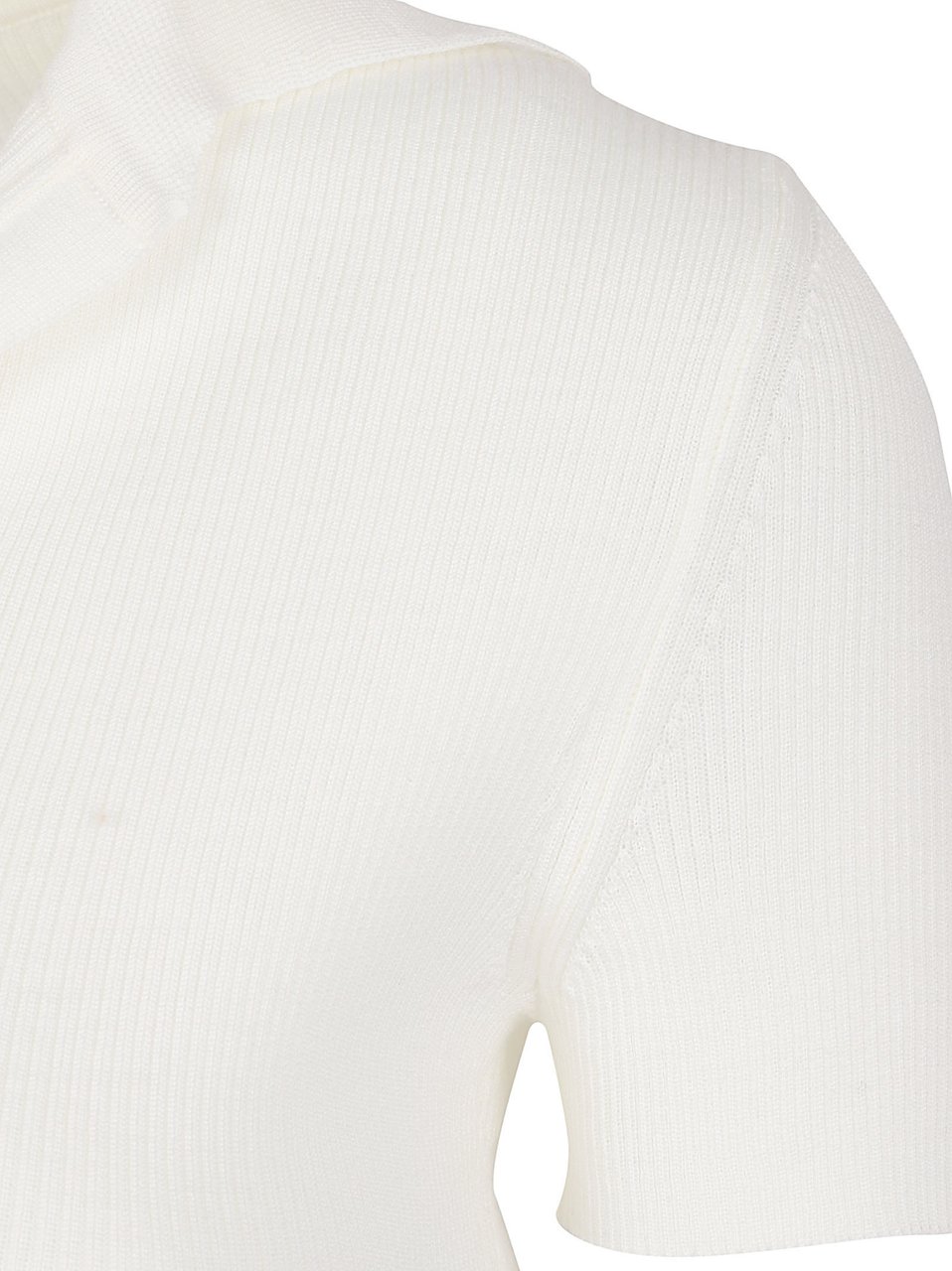 Max Mara Short-Sleeved Ribbed Knit Top with Subtle V-Neckline Wit