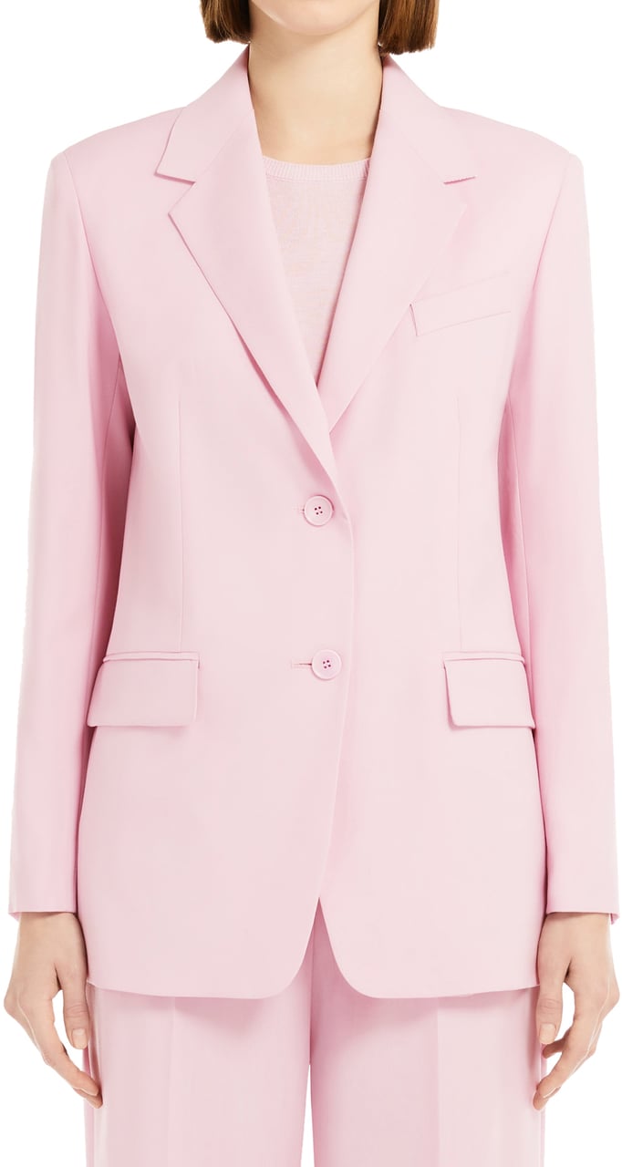 Max Mara Jackets Rose Berry Blauw