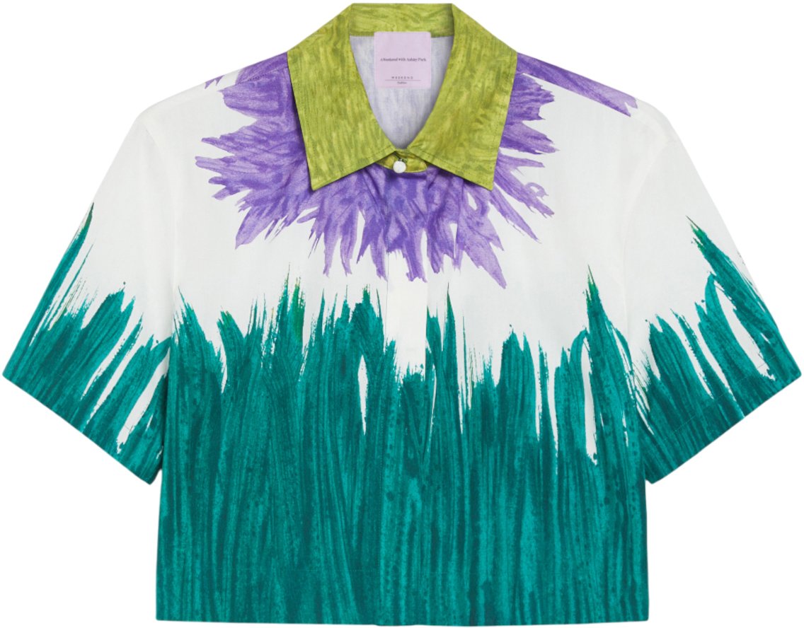 Max Mara Shirts Multicolour Divers