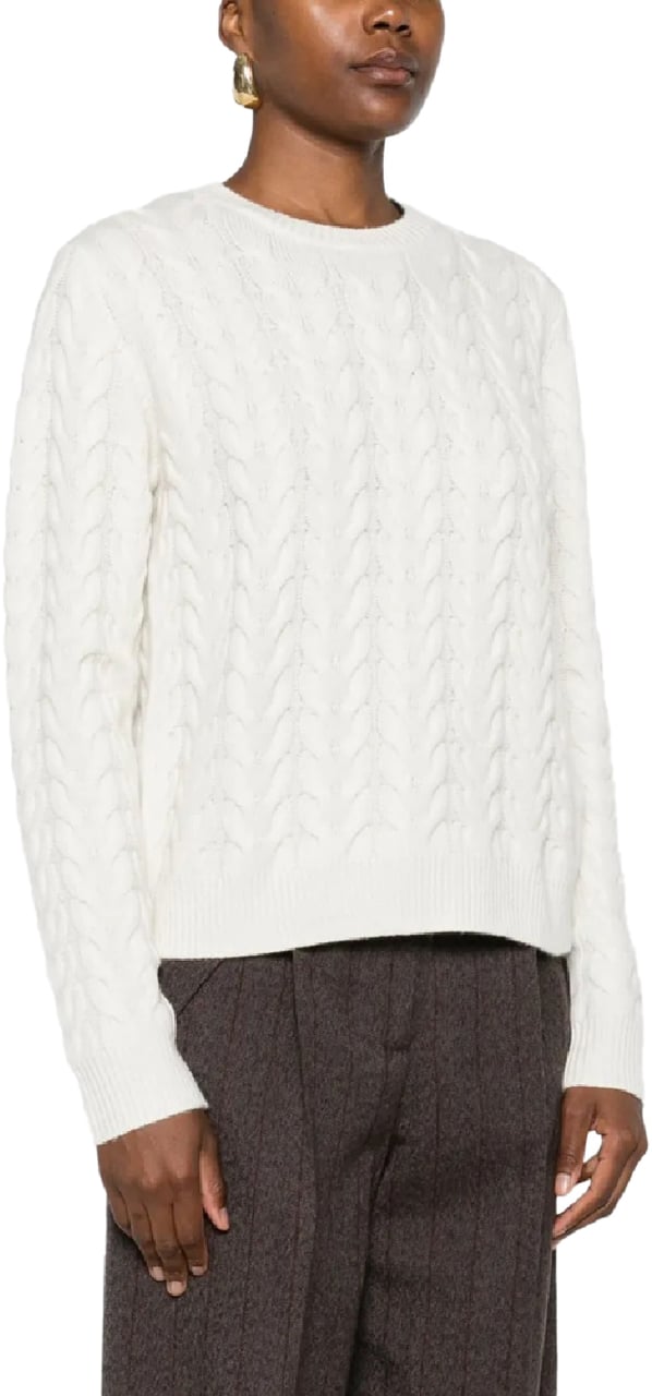 Max Mara aramis divers Divers