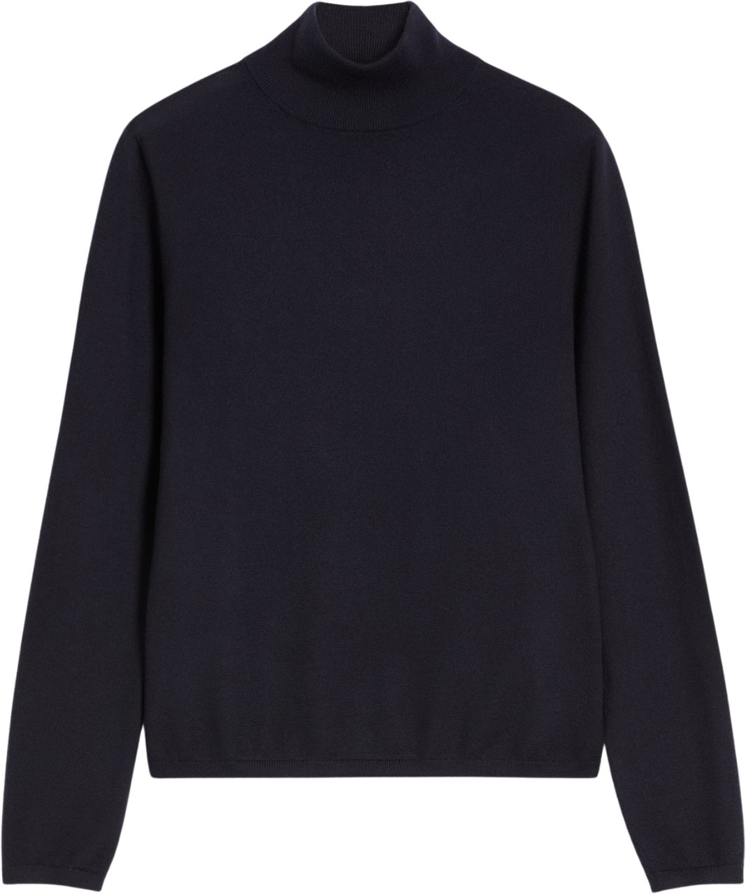 Max Mara Sweaters Blue Blauw