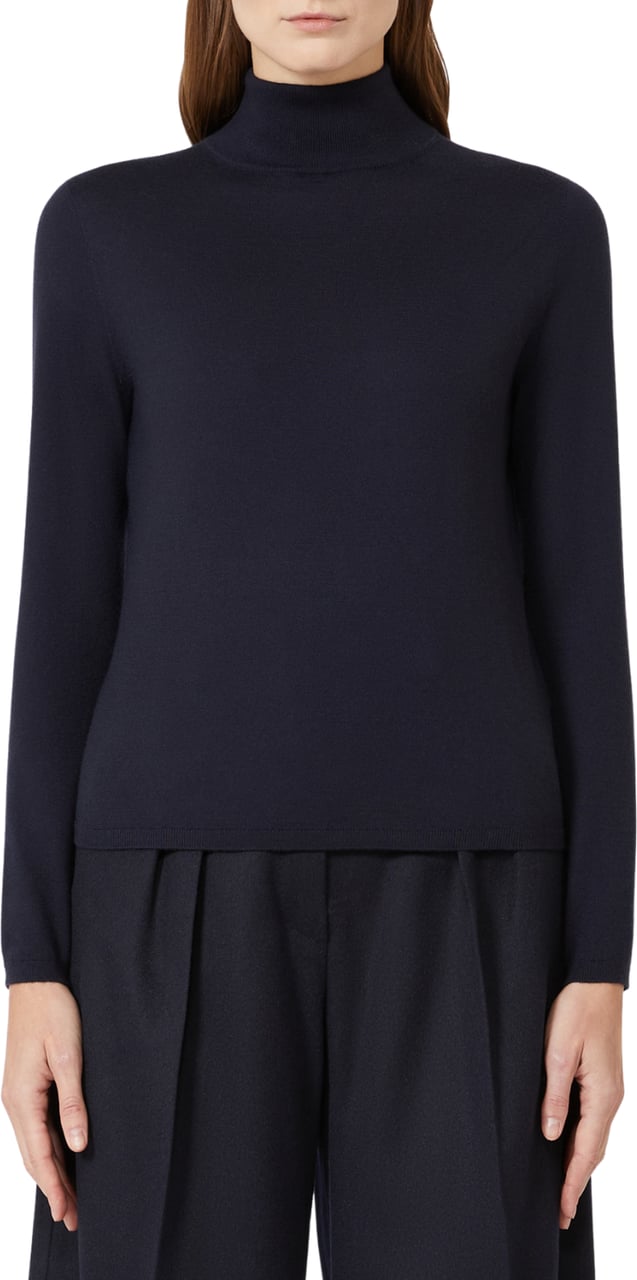 Max Mara Sweaters Blue Blauw