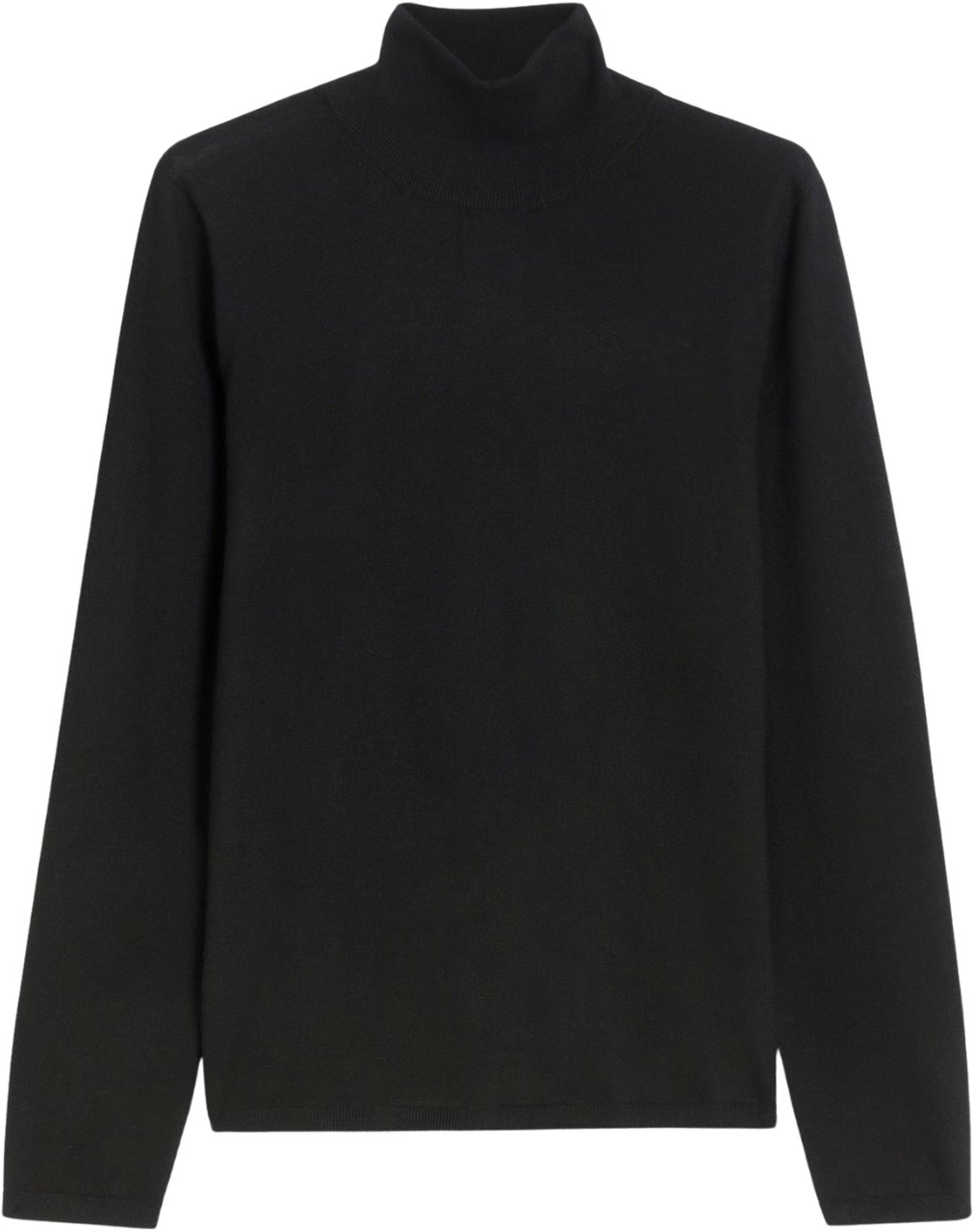 Max Mara Sweaters Black Zwart