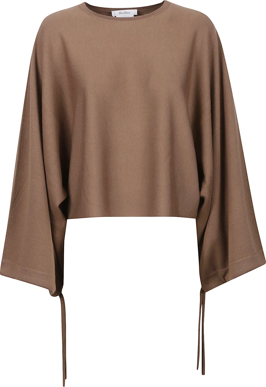 Max Mara Frais Sweater Brown Bruin