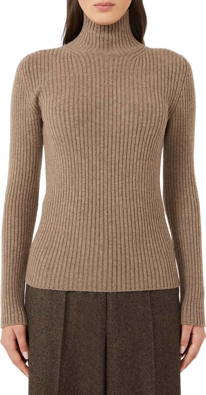 Max Mara Sweaters Brown Bruin