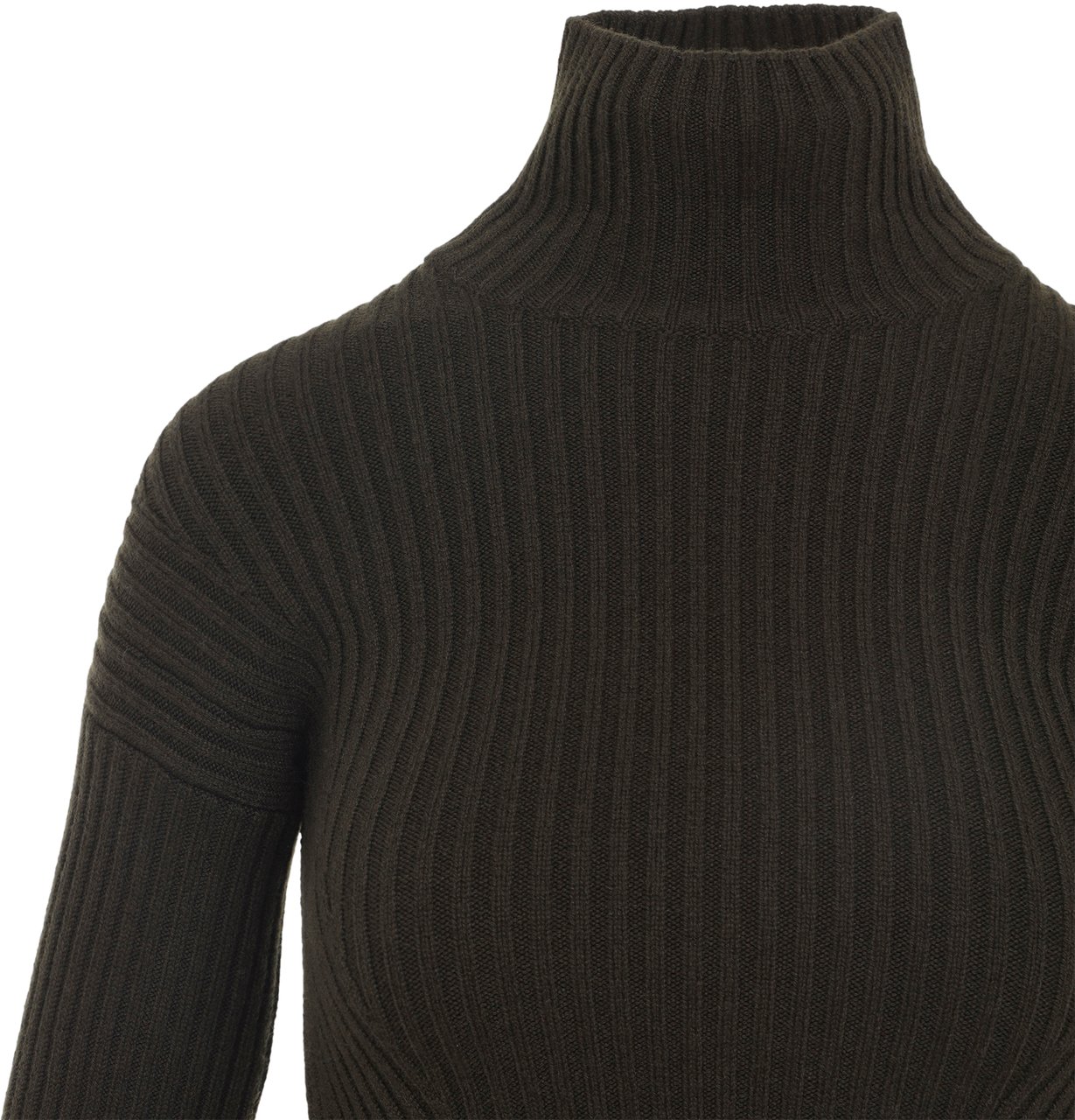 Max Mara MAX MARA 2521366483600 Groen