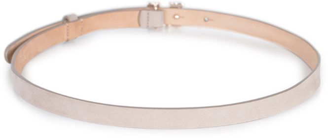 Max Mara Belts Dove Grey Grijs