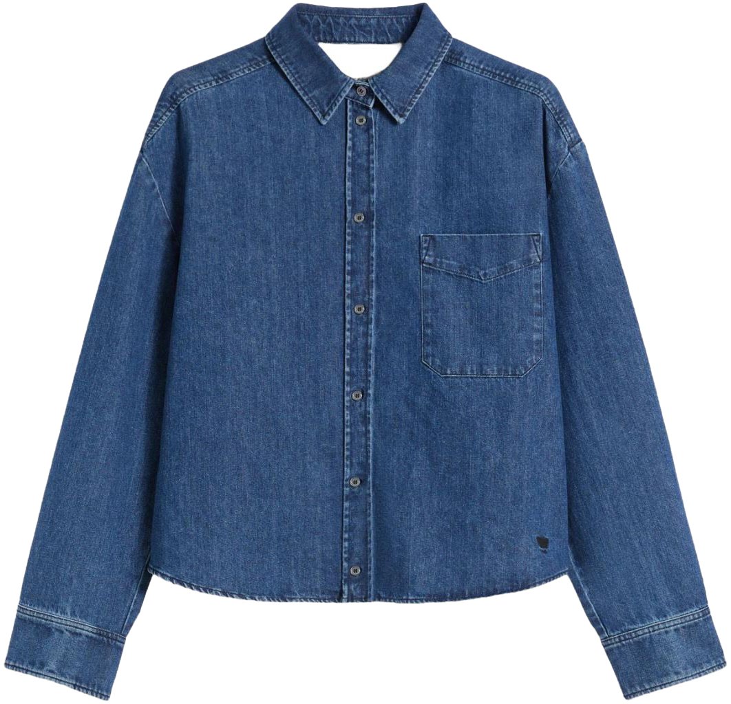 Max Mara Shirts Blue Blauw