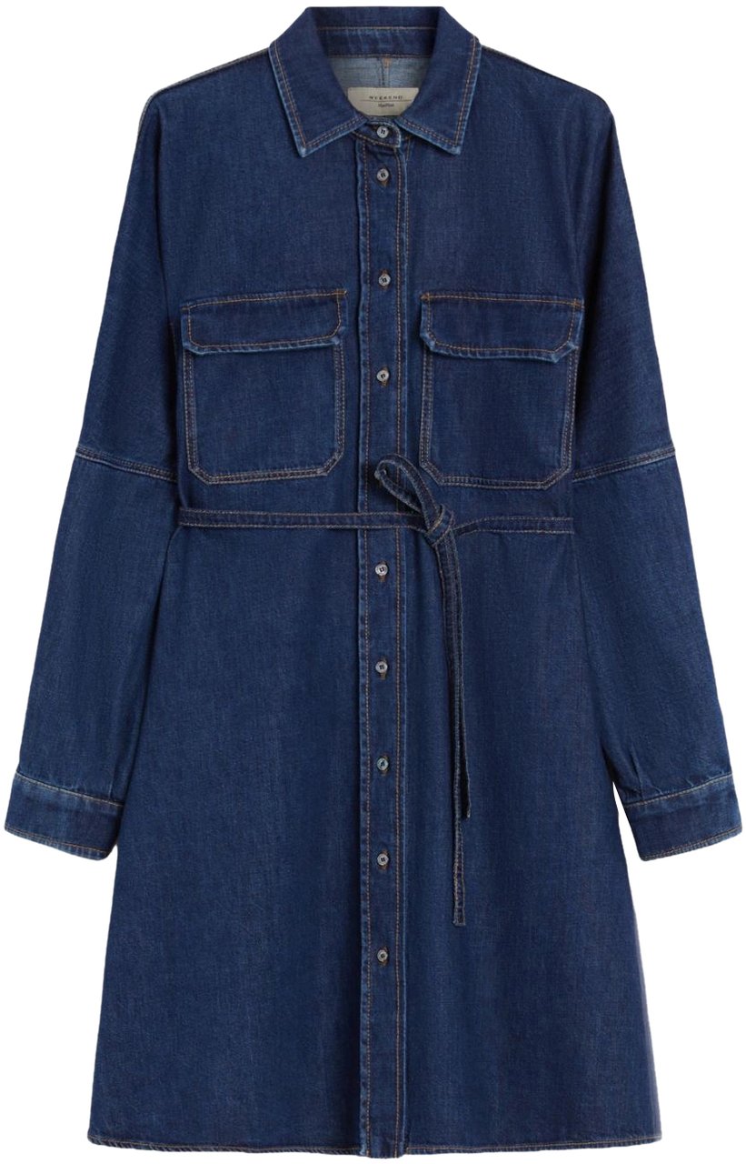 Max Mara Dresses Blue Blauw