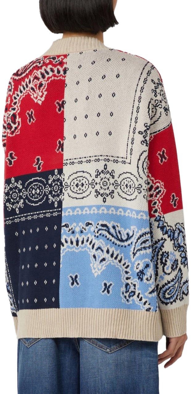 Max Mara Sweaters Multicolour Divers