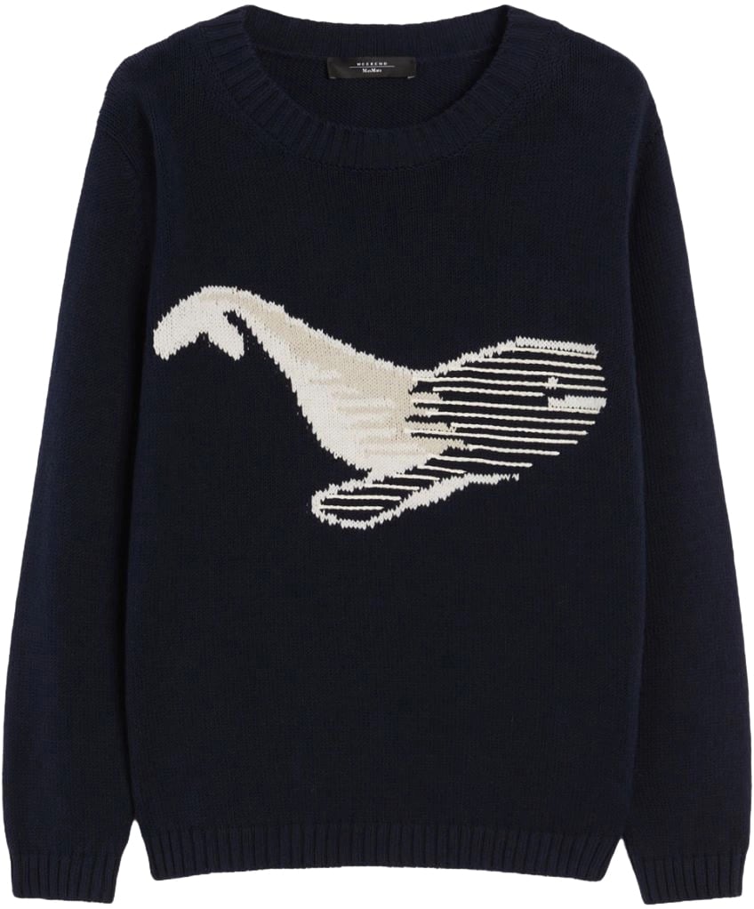Max Mara Sweaters Blue Blauw