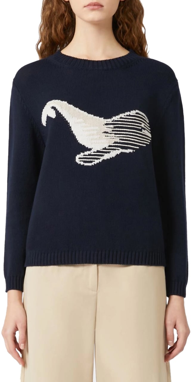 Max Mara Sweaters Blue Blauw