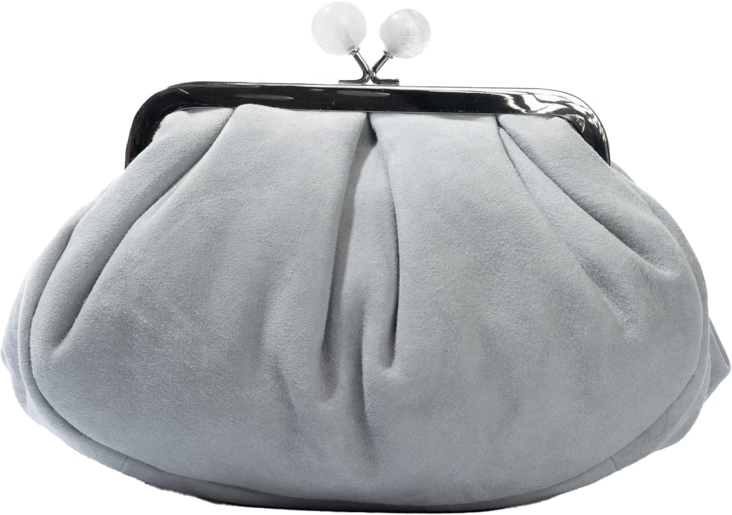 Max Mara Bags Clear Blue Blauw