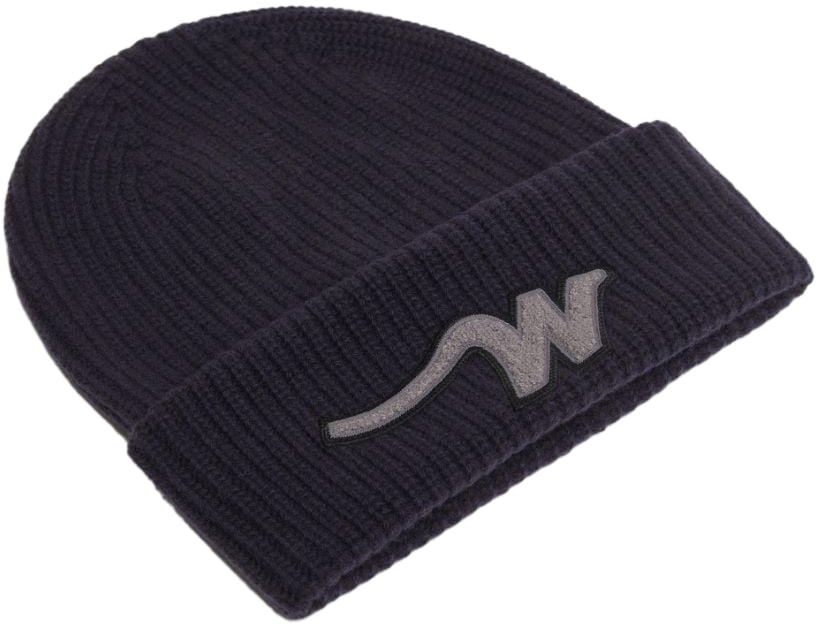 Max Mara Hats Blue Blauw