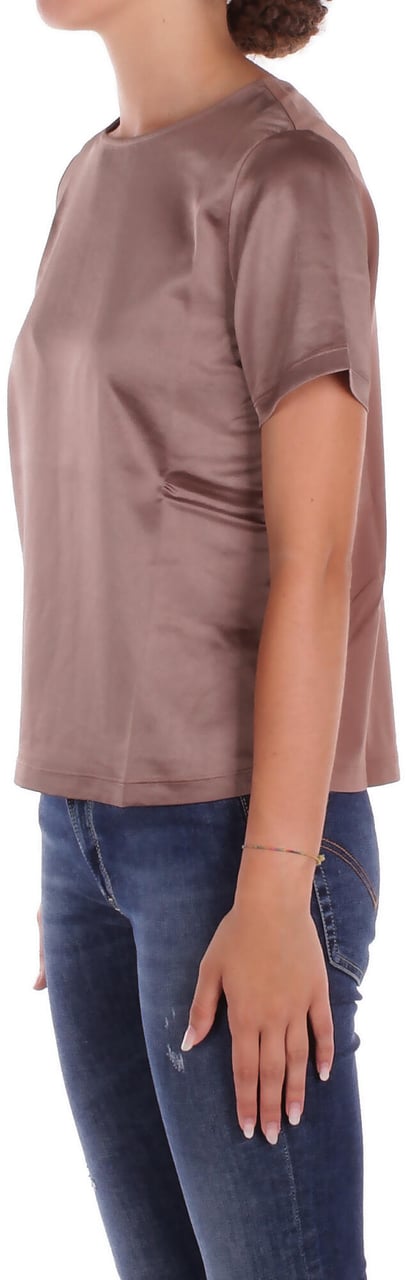Max Mara Sweaters Castagna Bruin