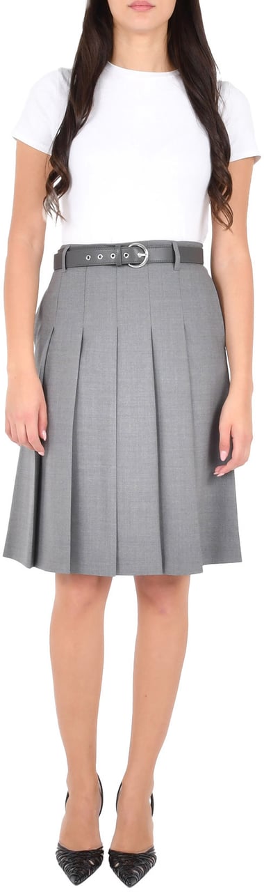 Max Mara Skirts Grey Grijs