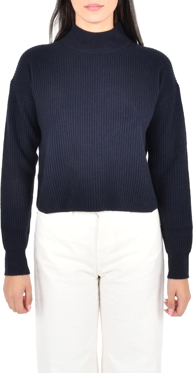 Max Mara Sweaters Blue Blauw