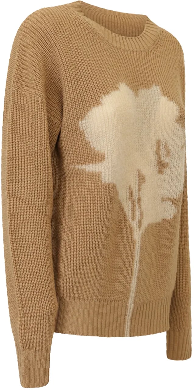 Max Mara Sweaters Camel Beige