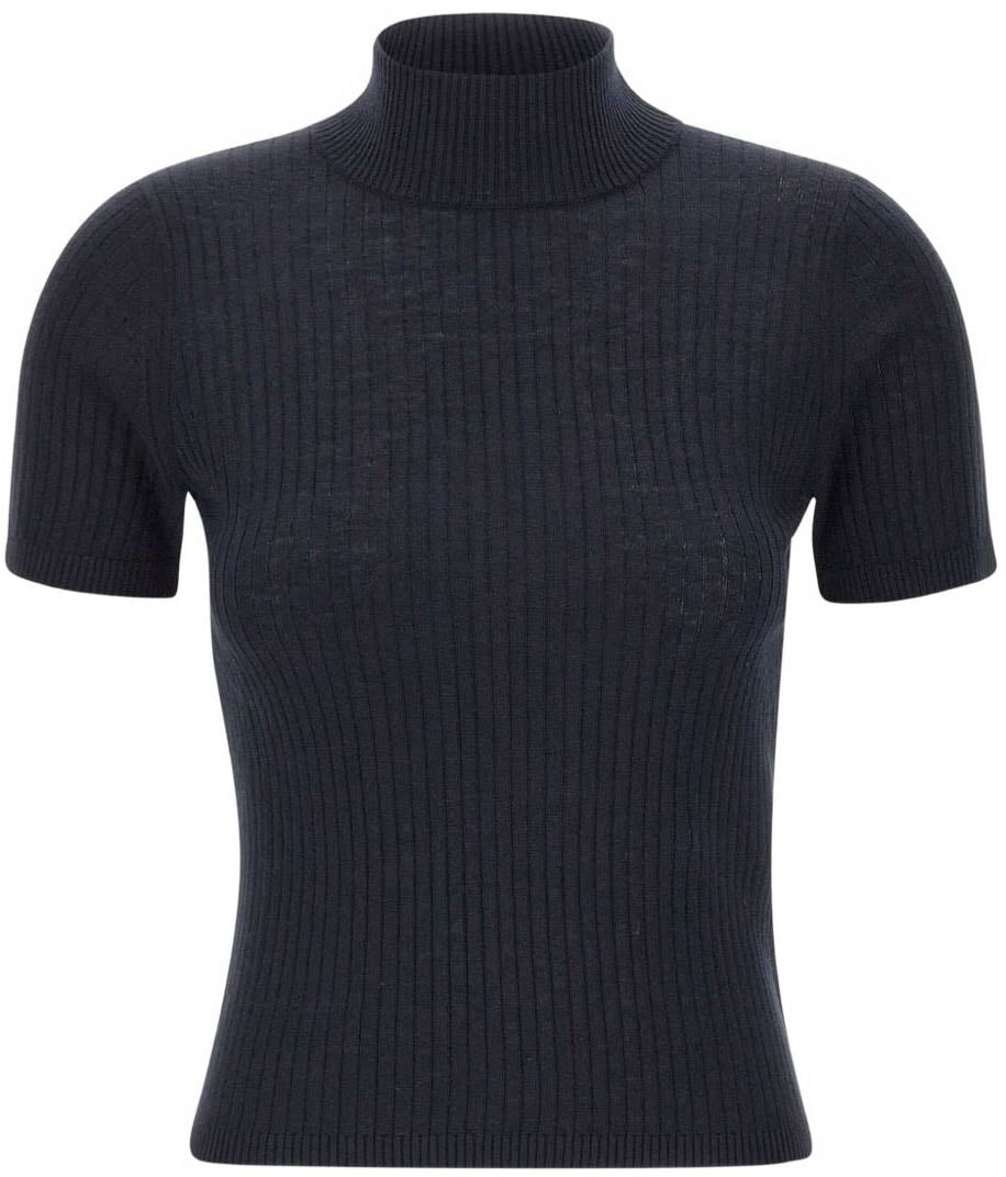 Max Mara Sweaters Blue Blauw