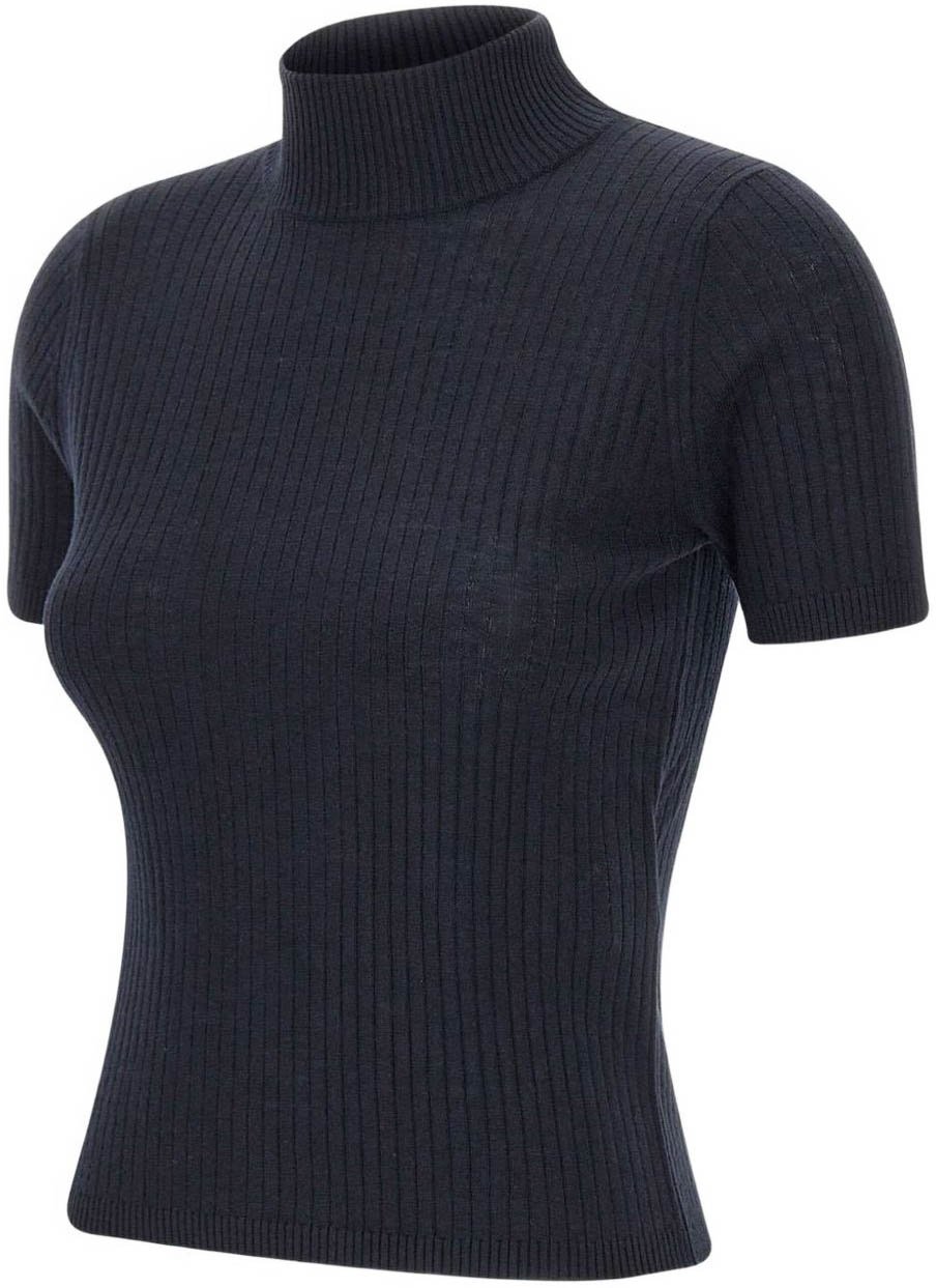 Max Mara Sweaters Blue Blauw