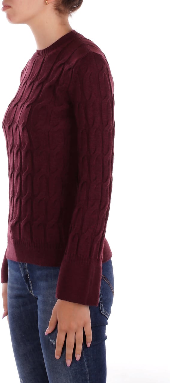 Max Mara Sweaters Burgundi Rood
