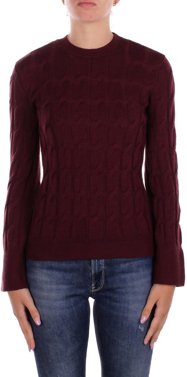 Max Mara Sweaters Burgundi Rood