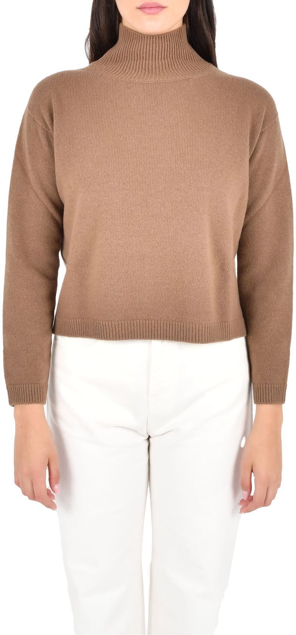 Max Mara 'S Max Mara Sweaters Brown Bruin