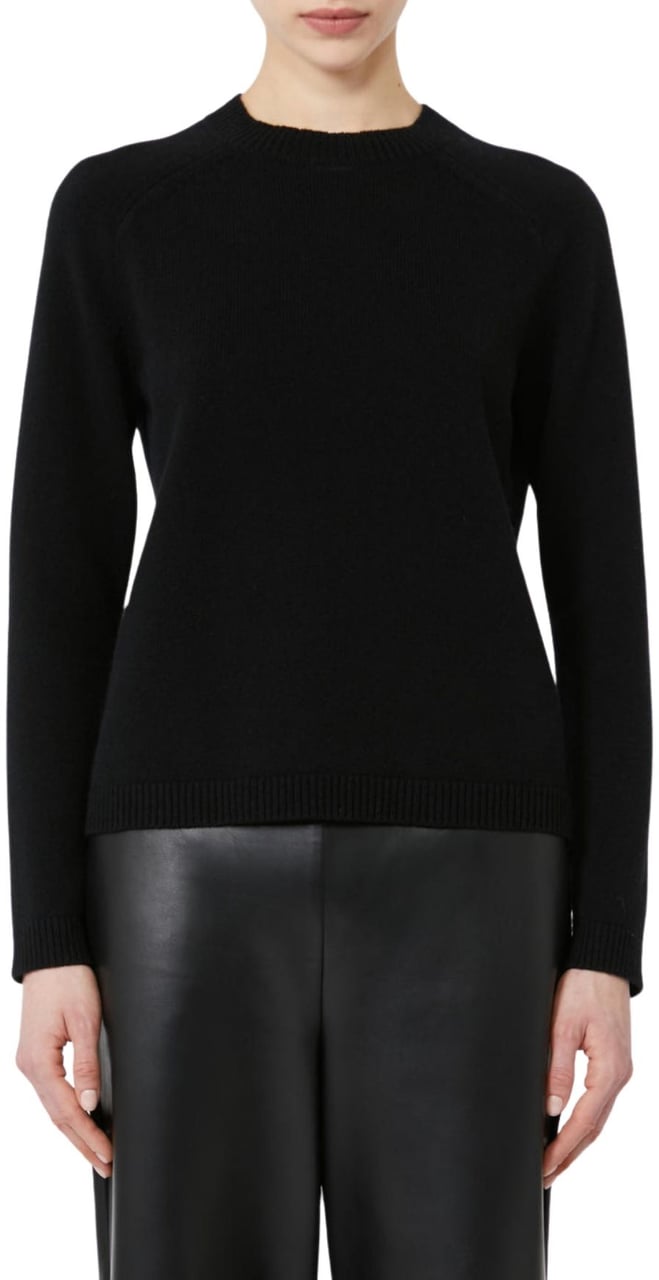 Max Mara Sweaters Divers Divers