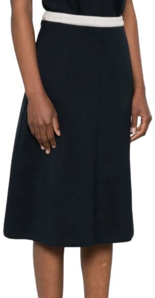 Max Mara Skirts Blue Blauw