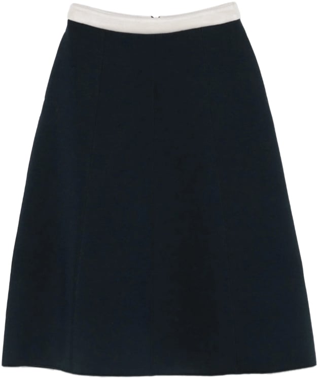 Max Mara Skirts Blue Blauw