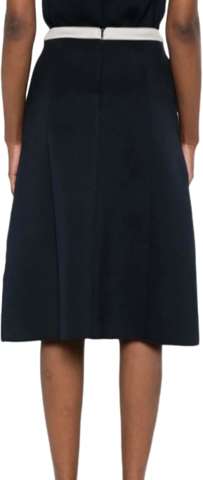 Max Mara Skirts Blue Blauw
