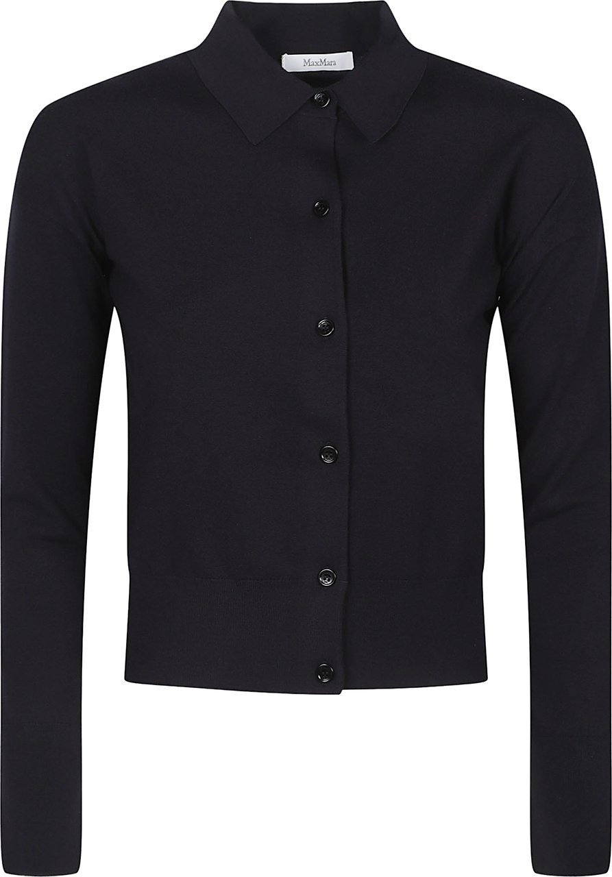 Max Mara Mxmmedeola Cardigan Blue Blauw