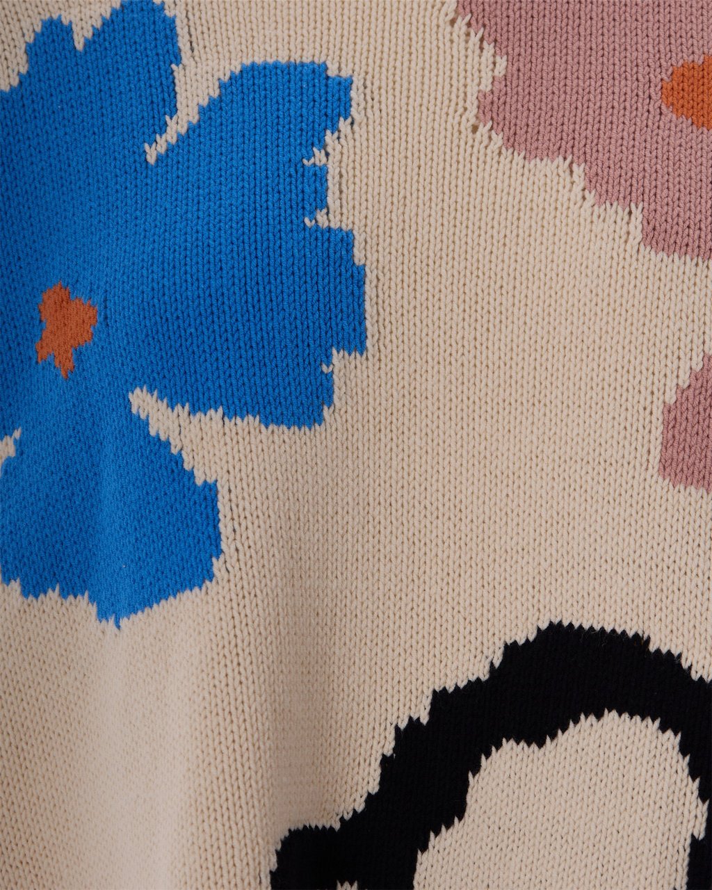 Max Mara Sweaters Multicolour Divers