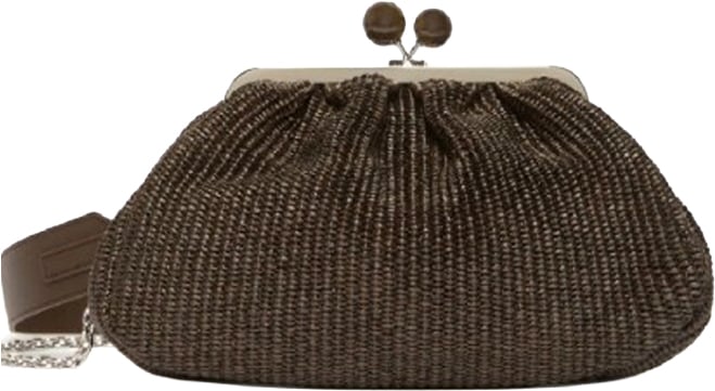Max Mara Bags Marrone Bruin