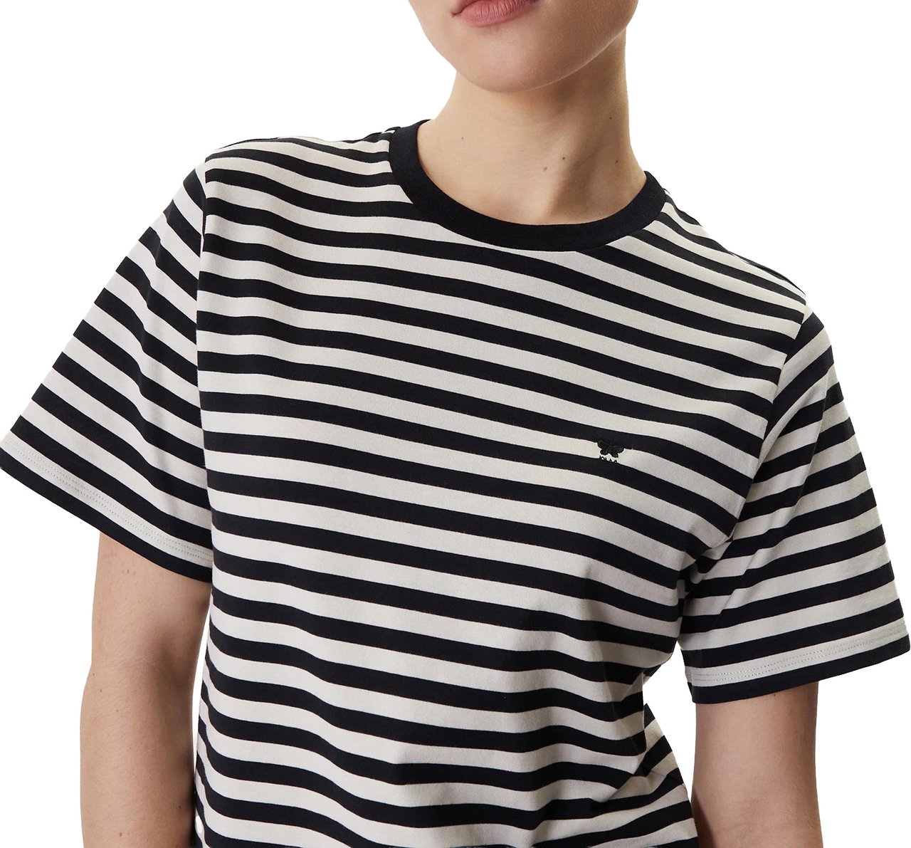Max Mara T-Shirts And Polos Ecru Rigato Nero Divers