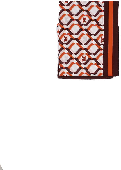 Max Mara Scarfs Stampa Divers