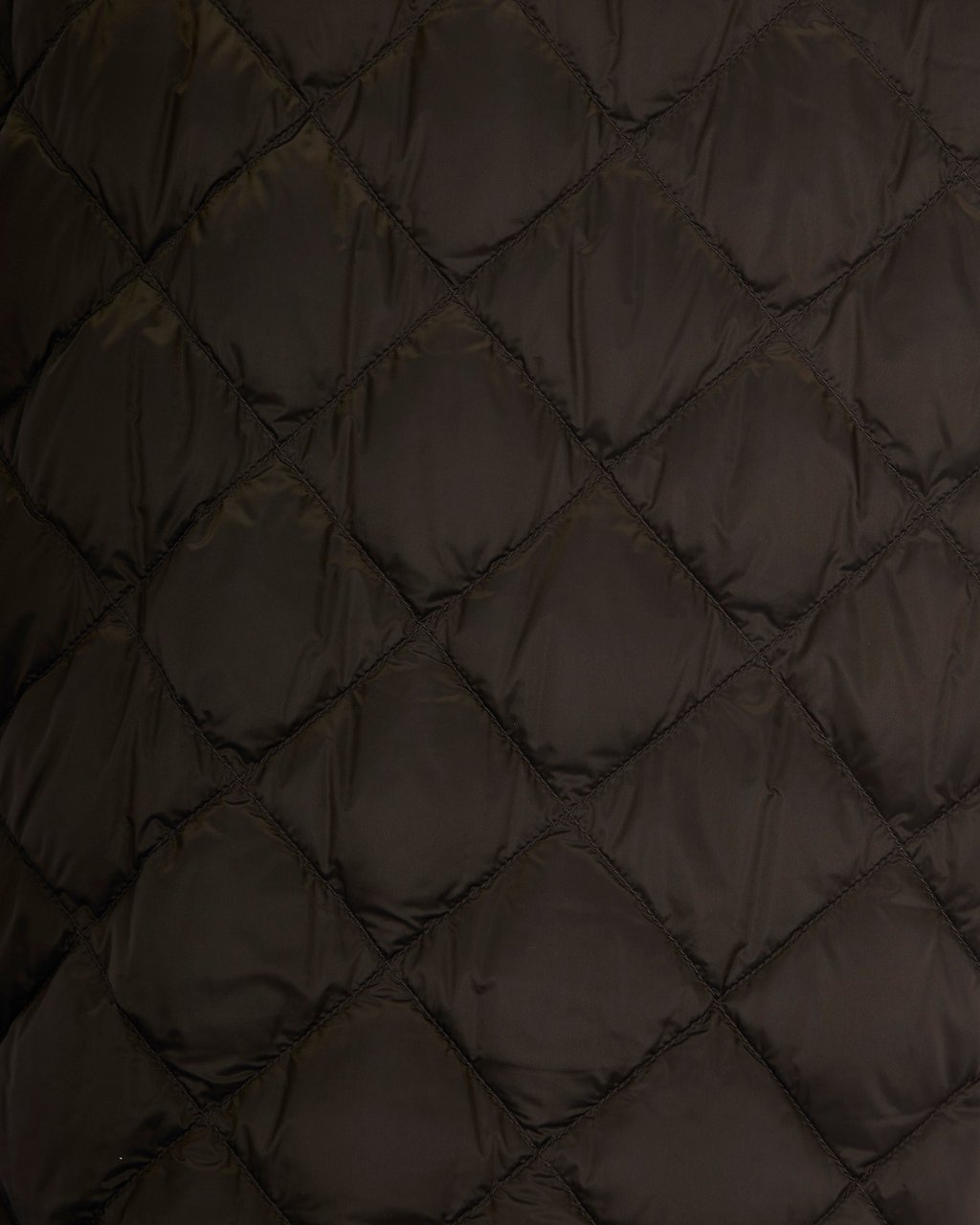 Max Mara Coats Verde Scuro Groen