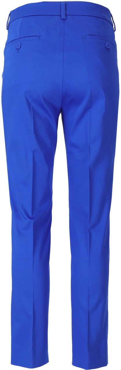 Max Mara MAX MARA WEEKEND GINECEO ELECTRIC PANTS Blauw