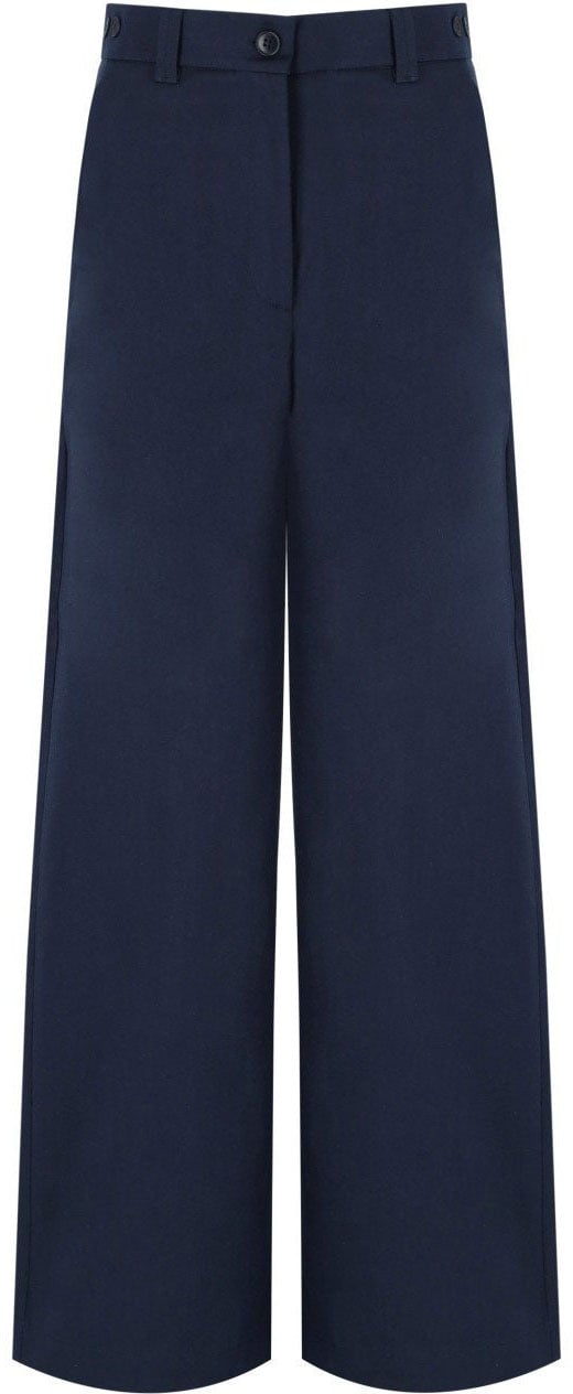 Max Mara MAX MARA WEEKEND ALFEO PANTS Blauw