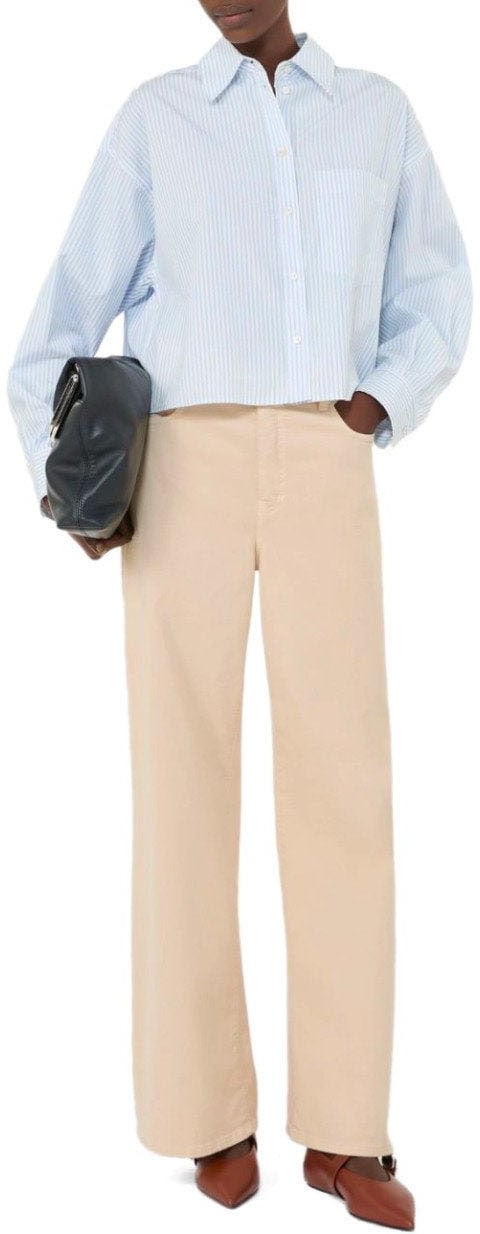 Max Mara MAX MARA WEEKEND EDEN LIGHT BLUE STRIPED SHIRT Lichtblauw