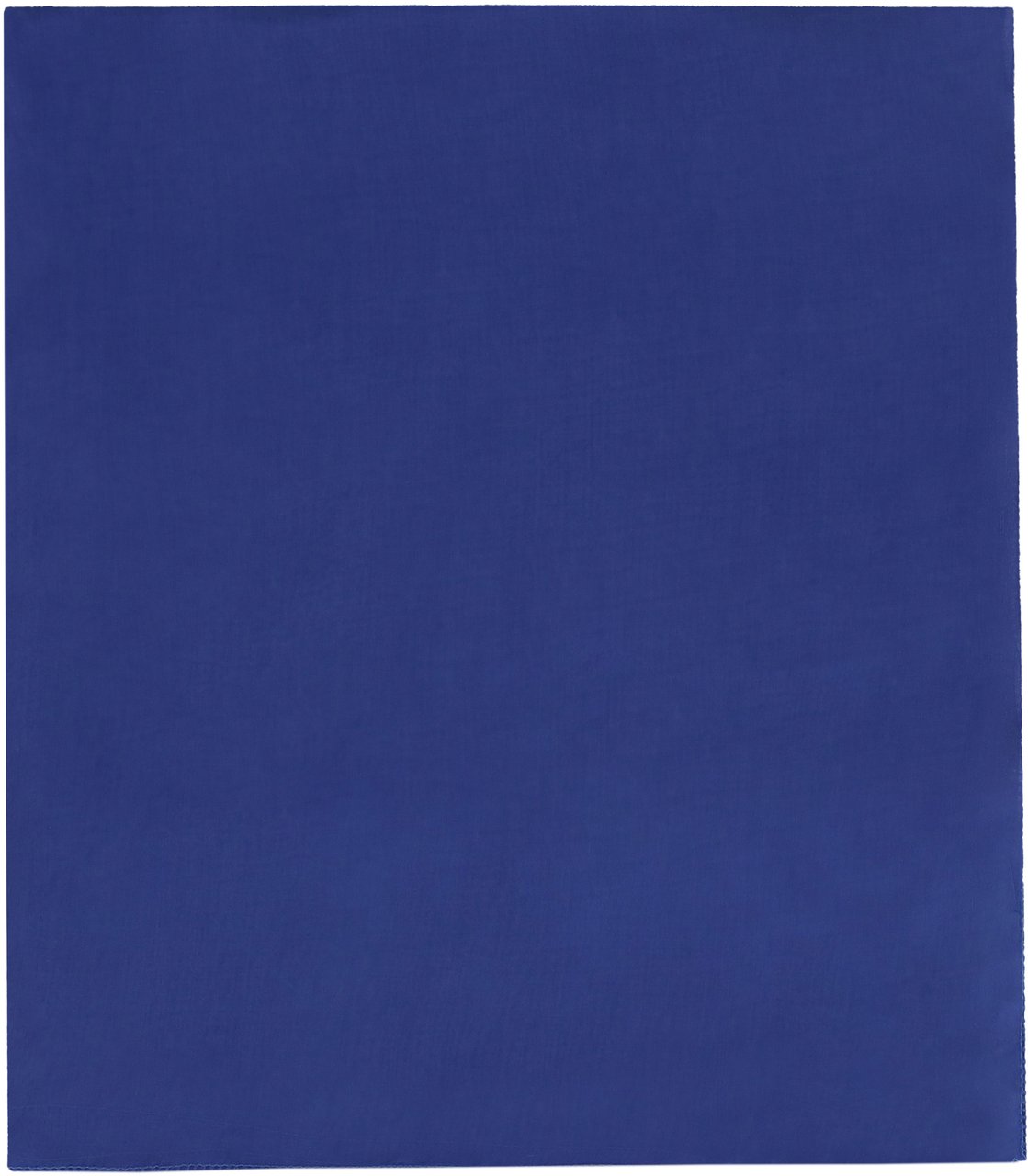 Max Mara Silk scarf Blauw